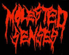 logo Molested Senses